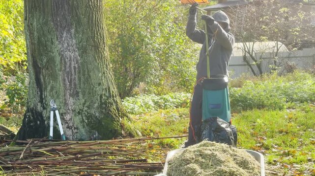 A person feeds branches into a garden shredder in an autumn yard. A large tree trunk stands nearby beside piles of cut wood. The machine produces a loud grinding noise.