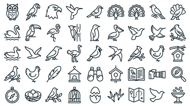 Bird watching icon set featuring various wild species flying animals