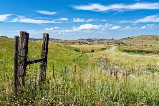 Wild grasses and sage grow next to a fence along a road in southern Montana, USA