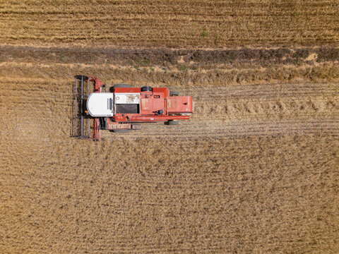 Aerial view of a red combine harvester working in a golden wheat field during harvest season in Riebeek-Kasteel, Western Cape, South Africa.