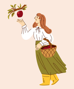 Woman Picking a Red Apple from a Tree with a Wicker Basket, Autumn Orchard Harvest Illustration for Farm Branding, Organic Food Packaging, Seasonal Posters, Gardening Materials and Country Lifestyle