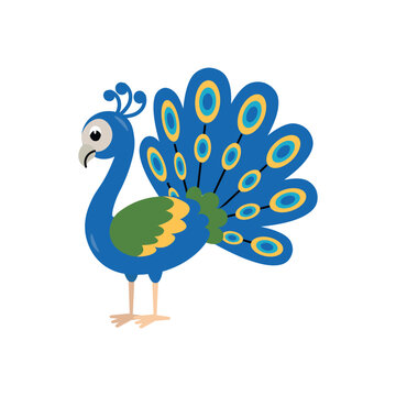 Cute cartoon peacock for children, isolated on a white background.