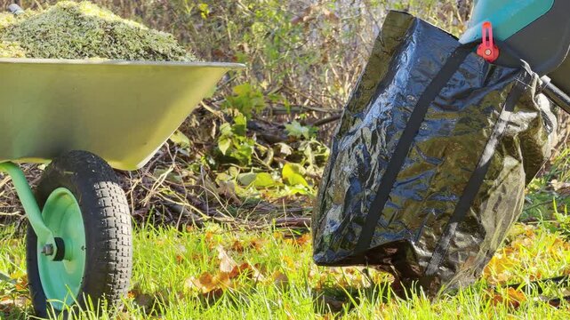 A wheelbarrow holds chopped mulch next to a collector bag in a sunny autumn yard. The organized garden tools evoke a peaceful, satisfying feeling of cozy productivity.