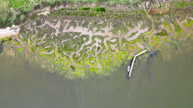 Aerial view of intricate salt marsh patterns with vibrant green vegetation, winding tidal channels, and a wooden jetty extending into the water, Essex, United Kingdom.