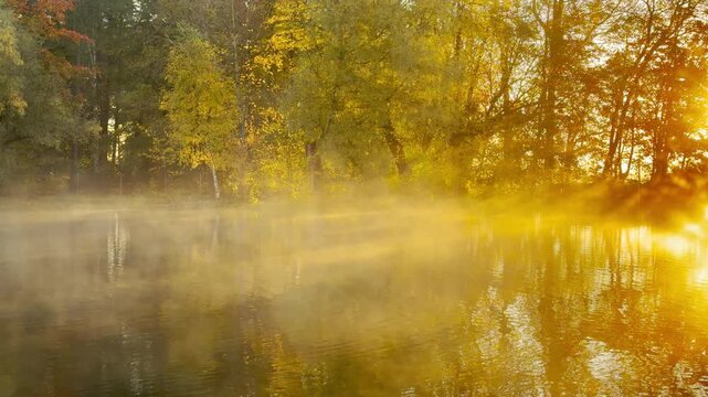 Golden morning light pierces through misty autumn trees over a calm pond. The glowing sunbeams reflect on the quiet water surface. Experience serenity in Pushkin, Russia, slow motion.