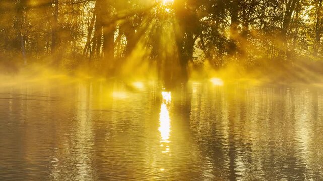 A tilt shot reveals golden sunbeams shining through morning mist over a park lake in Pushkin in slow motion. The warm light creates a serene, magical mood.