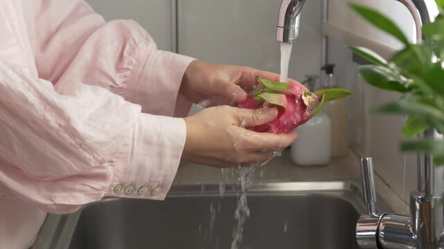 Dragon fruit is washed beneath kitchen faucet as hands rotate its pink, leafy exterior. Fresh pitahaya receives careful rinse at sink, with water running over its textured skin as hands turn fruit.