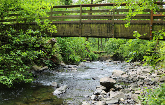 The bridge over Bridal Veil Creek - Columbia River Gorge area, Oregon