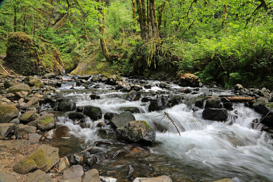 Rocks in Bridal Veil Creek - Columbia River Gorge area, Oregon