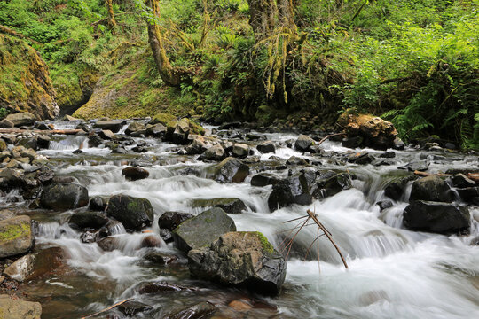 Flowing water in the forest - Bridal Veil Falls - Columbia River Gorge area, Oregon