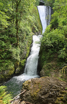 Bridal Veil Falls vertical - Columbia River Gorge area, Oregon