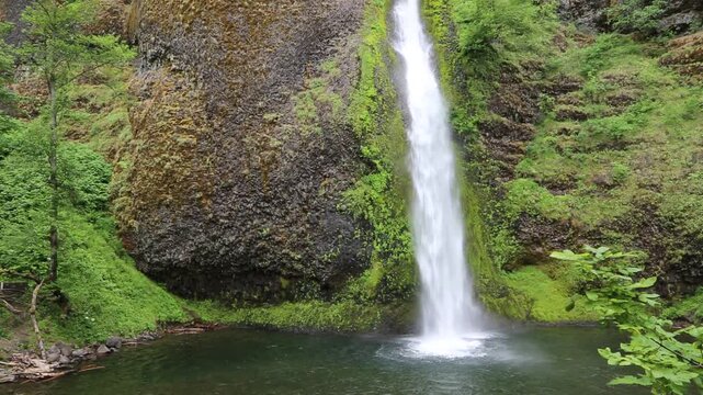 Horsetail Falls - Oregon