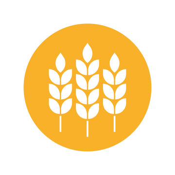 Wheat icon. Silhouette wheats isolated on white background. Spikelet grain. Malts spike. Malt beer. Barley or corn for flour print design. Cereal ear. Seed millets. Oat farming. Vector illustration