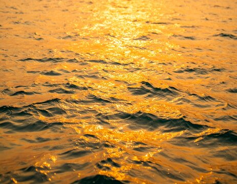 yellow water surface