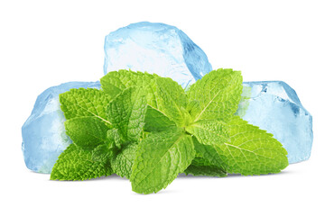 Green mint leaves and ice isolated on white. Menthol © New Africa
