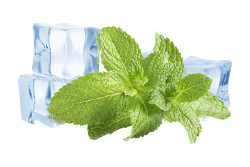 Green mint leaves and ice cubes on transparent background. Menthol © New Africa