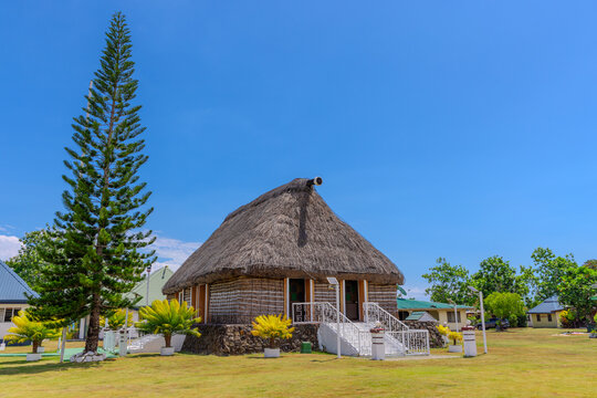 Traditional Fijian Bure house with thatched roof and tropical palm trees under a blue sky in Viseisei Village Nadi Viti Levu Fiji