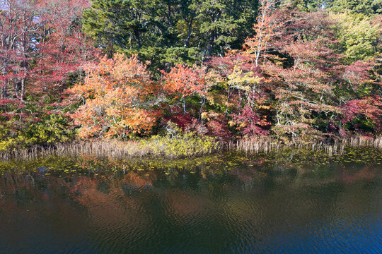 Colorful autumn foliage is found fringing Pilgrim Lake in Orleans, Massachusetts. This scenic destination is on the outer part of Cape Cod, not far from the Atlantic Ocean.