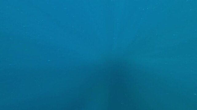 Cinematic underwater view of ocean water with a diving flipper briefly appearing. Background video