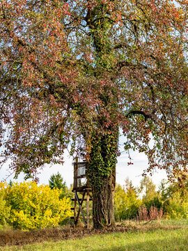 Hoch und J&auml;gersitz im Herbst