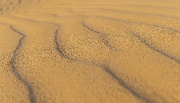 Wave pattern in sand dune, Sandfly Bay, Dunedin, Otago Region, Otago Peninsula, Southland, New Zealand