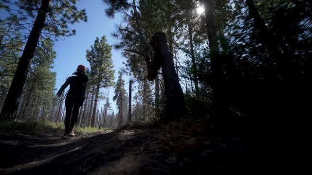 Witness the stark beauty of charred sequoias and burn piles in Sequoia National Monument, highlighting fires impact on nature.