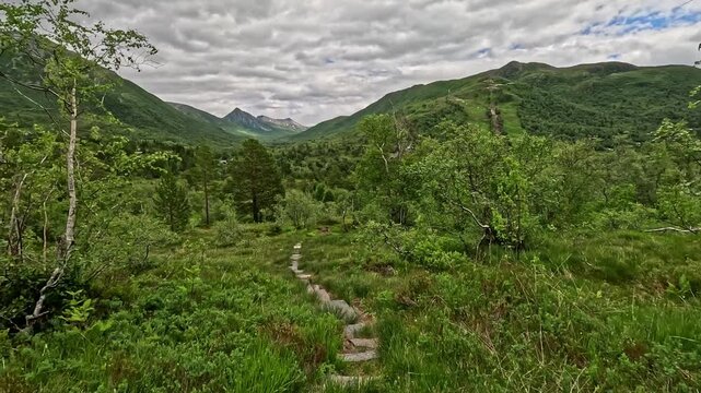 Narrow stone path winds through lush green valley. Surrounding trees and grasses grow wild and thick. Mountains loom high in cloudy sky. The scene feels calm and peaceful. Great for travel, nature Sko