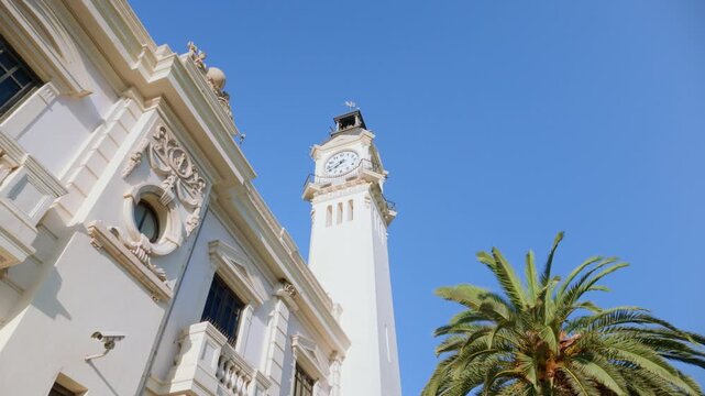 Upward perspective of ornate white clock tower and classical building facade beside tall palm tree against clear blue sky - sunlit architectural detail and tropical greenery