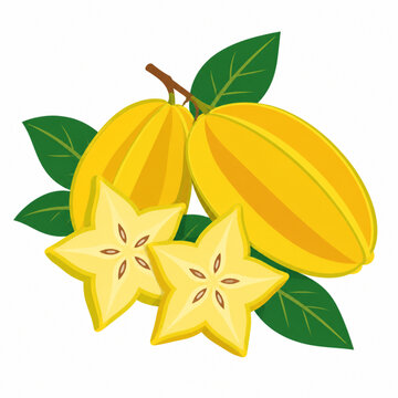 vector illustration of a star fruit