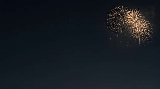 Two golden fireworks exploding against a dark night sky