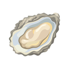 Illustration of a Fresh Open Oyster Shell © Laris