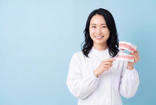 歯の模型と歯ブラシで正しいブラッシングを説明する笑顔の日本人女性歯科医師