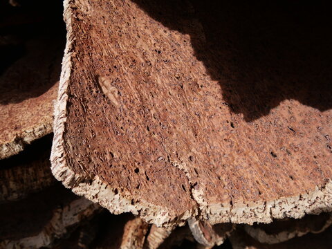 Close-up of harvested cork material used to manufacture wine stoppers and more
