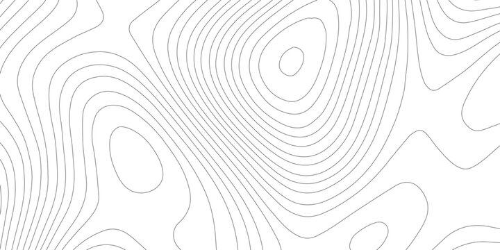 Topographic map vector featuring contour lines elevation patterns and
