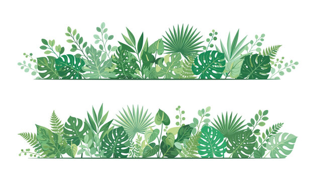 Tropical green foliage horizontal borders vector set featuring palm monstera fern and jungle leaves elements
