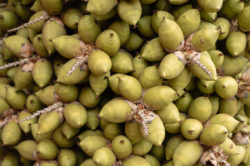 Palm tree fruits growing closely together, displaying a vibrant green color and natural texture, representing organic health, tropical agriculture, and sustainable ecosystems © VICTOR A ARGUELLO