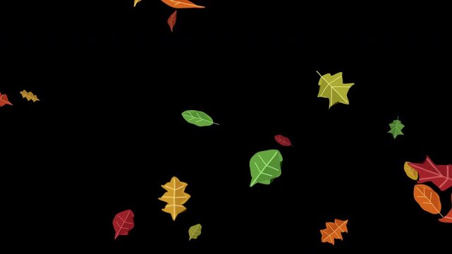 Fall leaves animation with autumn foliage, falling leaves, yellow foliage, red foliage, orange foliage, green foliage, foliage falling, autumn leaves, fall season, leaf animation
