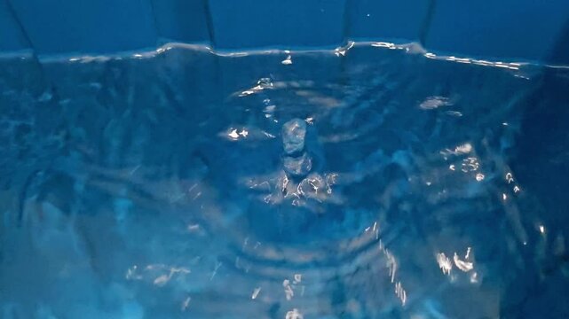 Water Droplets Falling into a Blue Plastic Basin