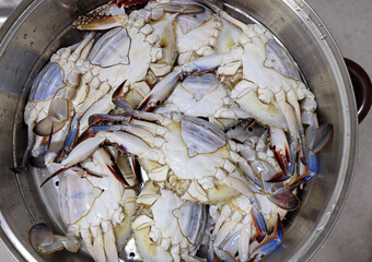 날것,꽃게,꽃게찜,스테인레스,찜기,한국 © JinChang