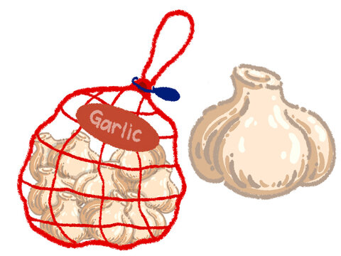 Fresh raw garlic bulbs in red mesh net bag packaging illustration , Supermarket grocery fresh vegetable packaging with garlic doodle concept