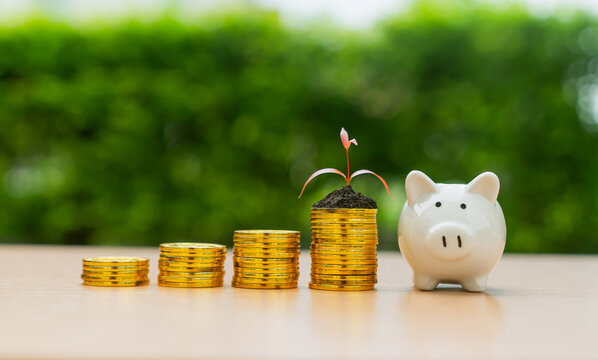 White piggy bank and growing plant on stack of coins, Money concept and the goal success.