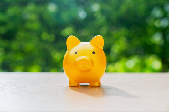 Yellow piggy bank on table with green nature background, Save money for prepare retirement concept.