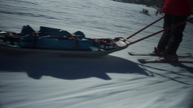 Ski patroller tows a rescue toboggan across a sunlit snowy slope with leafless trees behind