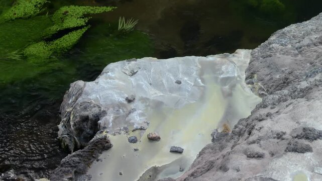 Pōhutu Geyser, Rotorua, New Zealand - Mineral-rich Thermal Water Flows Over Silica Terraces Beside Vibrant Green Algae - Close Up