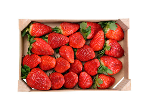 Strawberries in a box isolated on a transparent PNG background.