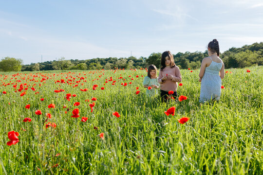 Three Young Girls Exploring a Red Poppy Field on a Sunny Summer Day