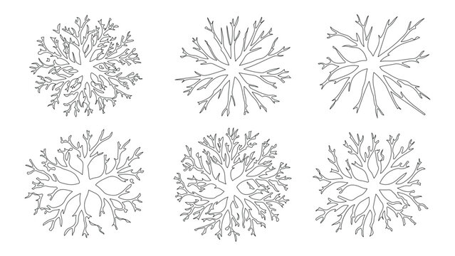 Detailed tree top view symbols for architectural site maps and landscape master planning. vector design
