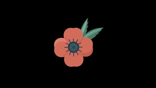 A coral poppy with a dark seed center and serrated sage leaves sways gently in a seamless eight second transparent vector animation.