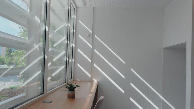 Sun through exterior louvers drawing diagonal stripes across a white wall and corner, with a small succulent in a pot on a wooden window ledge.