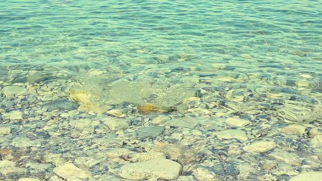 Clear turquoise water gently laps against a smooth stone in a serene coastal setting, showcasing the tranquil beauty of nature's elements in harmony